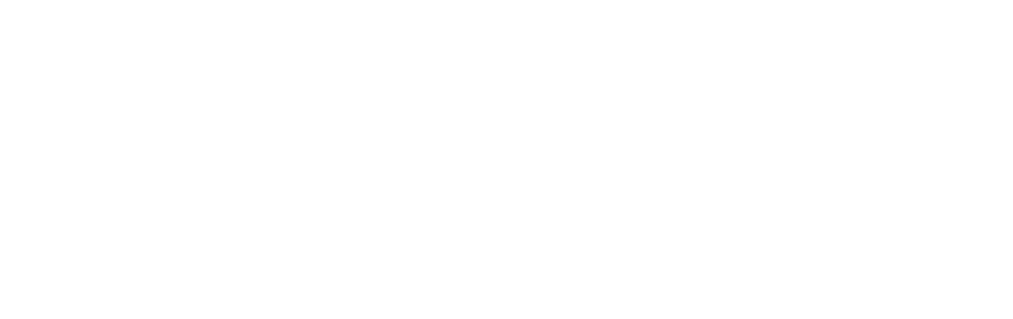 The Artist academy